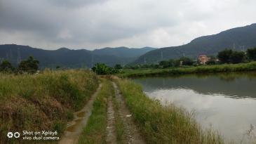 2018年肇庆城乡低保标准:城镇低保标准543元