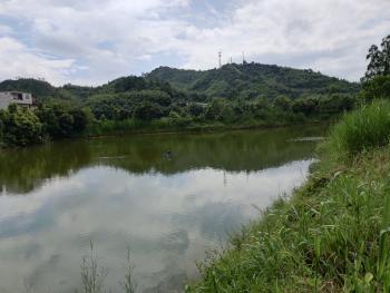 2018年肇庆城乡低保标准:城镇低保标准543元