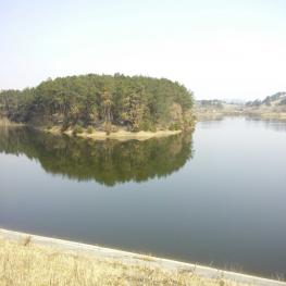 随州广水市 200亩 有林地 经营权出租