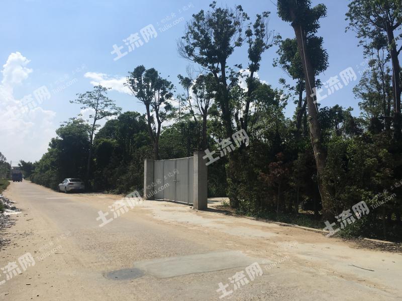 广东中山 1402平米 宅基地 转让