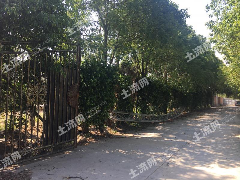 广东中山 1402平米 宅基地 转让