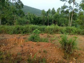 来宾象州县 30亩 荒山 出租