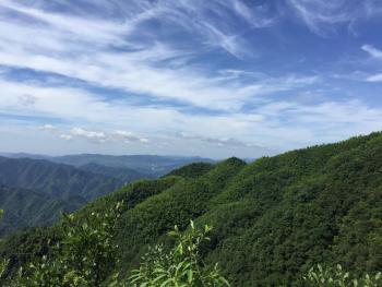 益阳安化县 3600亩 有林地 经营权转包