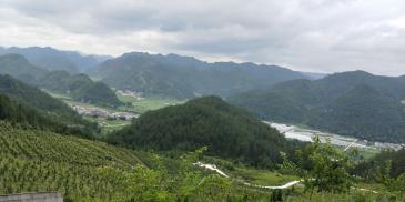 黔南龙里县112亩葡萄种植基地经营权转让
