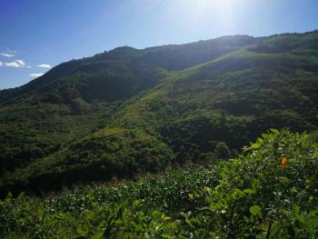 玉溪  新平彝族傣族自治县 900亩 其它耕地 经营权出租