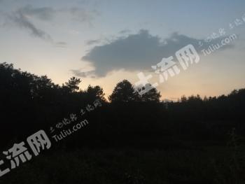 信阳商城县 2000亩 灌木林地 经营权合作