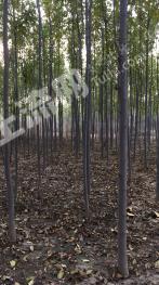 聊城东昌府区2018-2020年棚户区改造108处!有