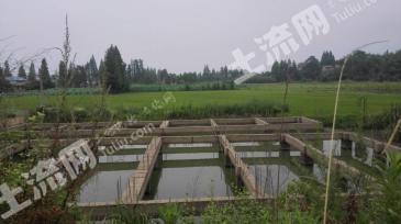 岳阳湘阴县600平米宅基地使用权流转