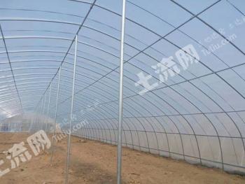 山东省农业项目补贴最新消息及政策解读