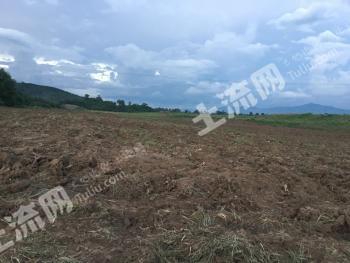 什么样的土地适合种植山药 5bbef4b9c37e3_sml.jpg