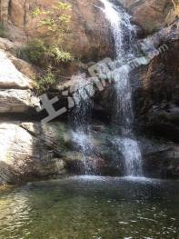 保定唐县 5000亩 灌木林地 经营权入股