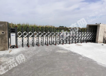 黑土地之乡的吉林适合种植哪些中药材呢?