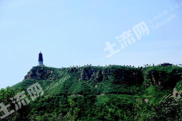 唐山滦州市 50亩 果园 经营权出租