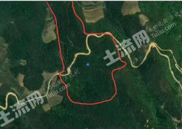 文山马关县 600亩 灌木林地 经营权转让