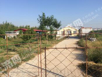 东营垦利区 117亩 乔木林地 经营权转包