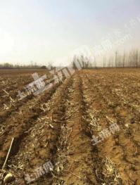 秦皇岛抚宁区 4.8亩 旱地 经营权转让