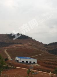 邵阳邵阳县 680亩 荒山 使用权出租