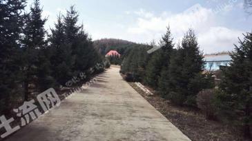 通化柳河县 800亩 畜牧养殖用地 经营权转让