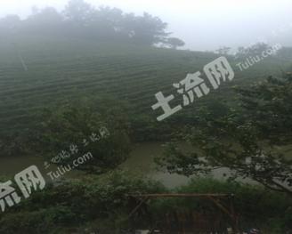 信阳浉河区 23亩 有林地 经营权出租