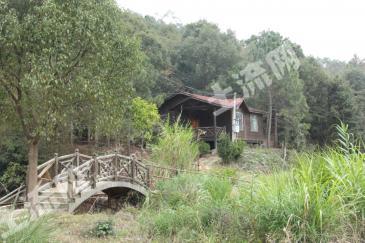 漳州长泰县 35亩 其它园地 经营权转让