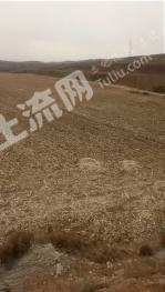 朝阳  喀喇沁左翼蒙古族自治县 1100亩 其它林地 经营权转让