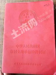 西双版纳景洪市 36亩 果园 经营权出租