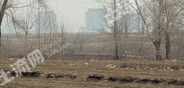 吉林船营区 10亩 其它园地 经营权转让