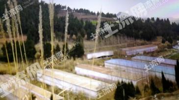 遂宁蓬溪县50亩畜牧养殖用地 经营权转让