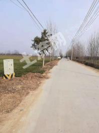 菏泽牡丹区 5亩 水浇地 经营权出租