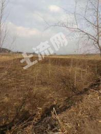 吉林龙潭区 30亩 有林地 经营权转让