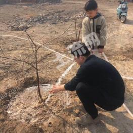 邯郸复兴区 3亩 空闲用地 使用权出租
