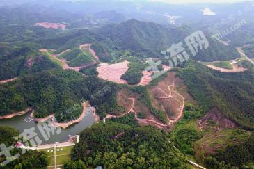 衢州  江山市 1600亩 有林地 经营权转让