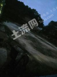 河源龙川县4亩人工草地经营权出租