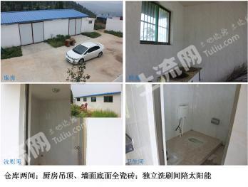 济宁邹城市 500亩 荒山 使用权出租