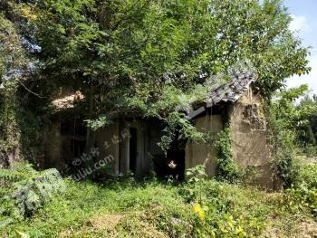 漢中漢臺區(qū)500平米宅基地使用權出租，獨門獨院，交通便利，有菜園，離漢中10來公里