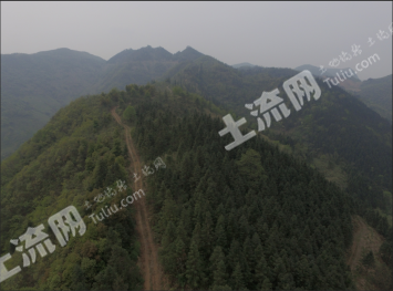 九江  瑞昌市 3600亩 有林地经营权 转让