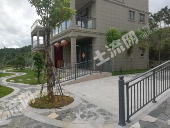 海南保亭黎族苗族自治县80亩果园经营权转让