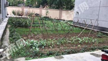 江門恩平市80平米宅基地使用權(quán)出租