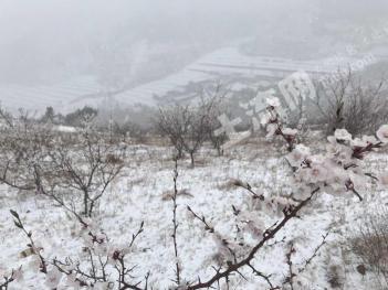 赤峰喀喇沁旗1000平米山村宅基地使用權(quán)出租