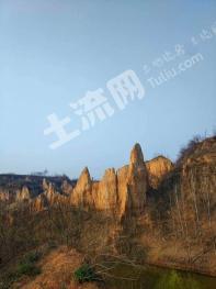 焦作孟州市 170亩 其它耕地 经营权出租/转让