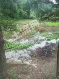 绵阳梓潼县 22.28亩 旱地 经营权出租