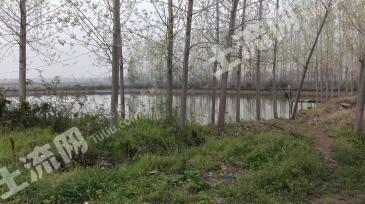 孝感孝南区 55亩 坑塘水面 经营权出租