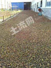 三明将乐县 280亩 有林地 经营权转让