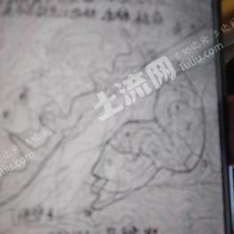 天水清水县 680亩 乔木林地 经营权转让