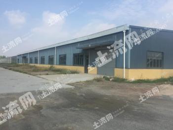 包头土默特右旗 800亩 水浇地 经营权出租