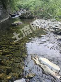 安康紫阳县 8000亩 旱地 经营权合作