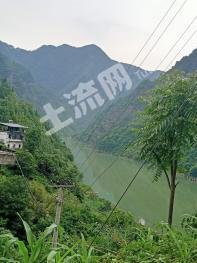 安康紫阳县 12000亩 有林地 经营权合作