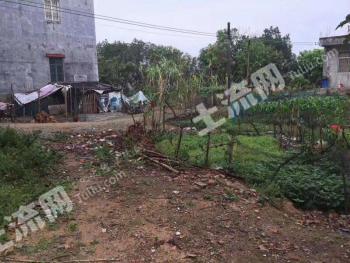 阳江阳东区 62平米 宅基地 使用权出租