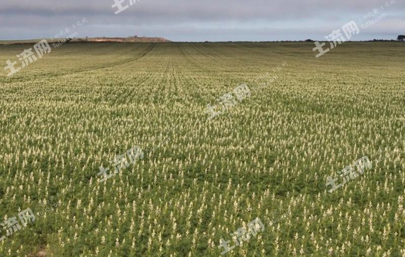 澳洲土地出售最新信息 5cf7136b8e7f8_big.jpg