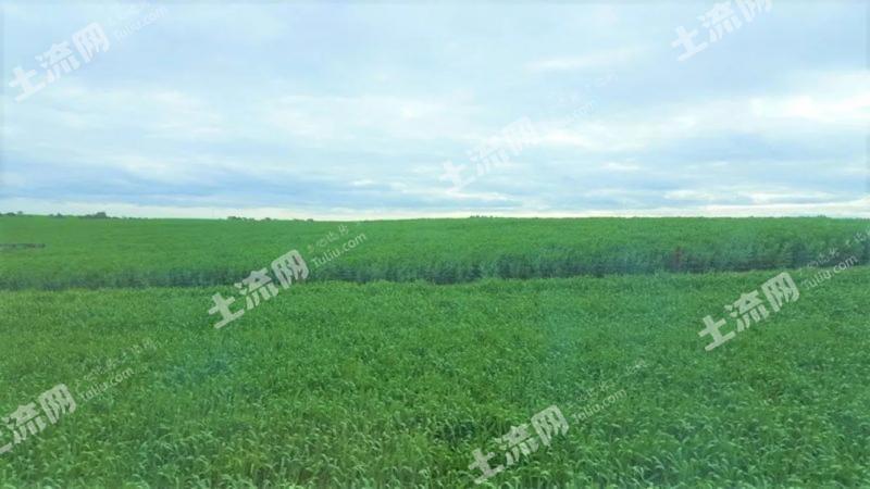 澳洲土地出售300万亩 5cf865d3d87b3_big.jpg